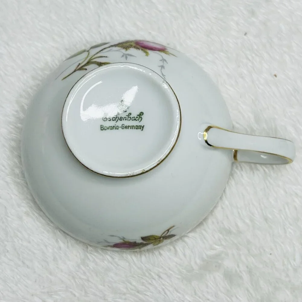 Eschenbach Bavaria Germany Moss Rose Demitasse Teacup Saucers Cream and Sugar